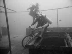 Cocov view dive masters entertaining the guests on the Mr... by Chuck Duran 